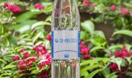 Nước uống đóng chai H2O 350ml - Thanh Thủy Hotel