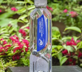 Nước uống đóng chai H2O 350ml - Điện Bích Hạnh